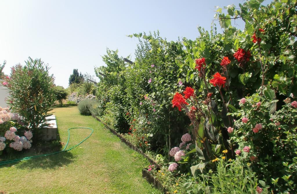 Quinta Da Harmonia Lägenhet Azeitao Exteriör bild