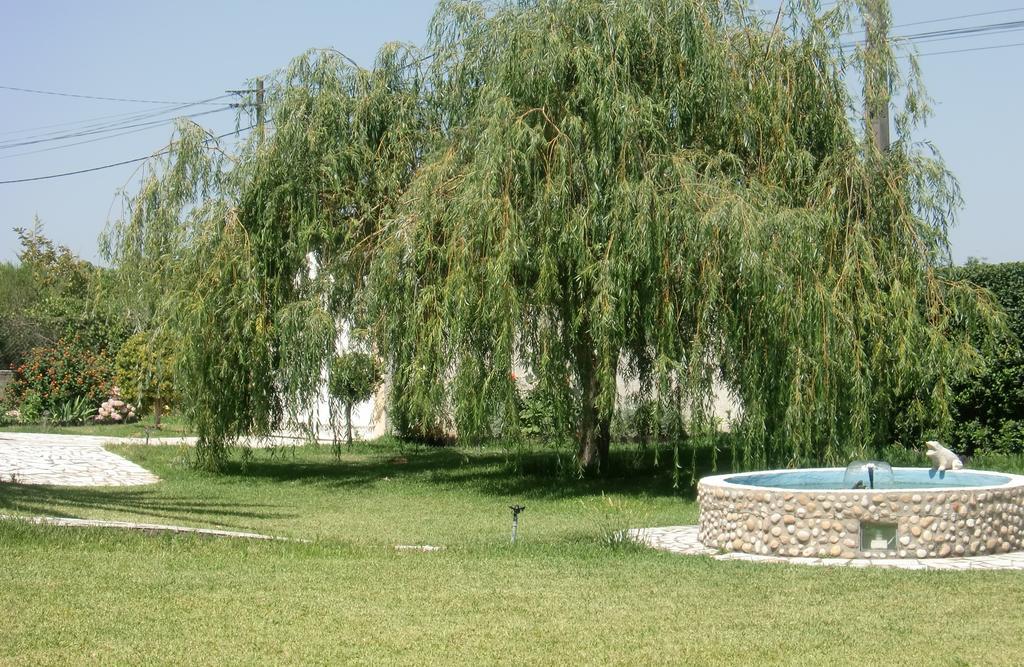 Quinta Da Harmonia Lägenhet Azeitao Exteriör bild