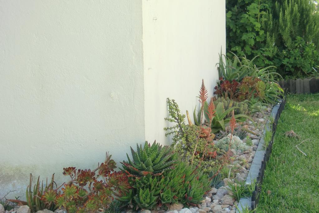 Quinta Da Harmonia Lägenhet Azeitao Exteriör bild